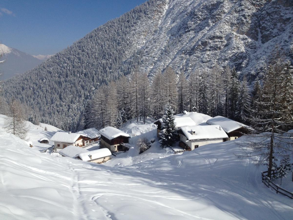 Alpenferienwohnung Strickner Neustift im Stubaital Exterior photo